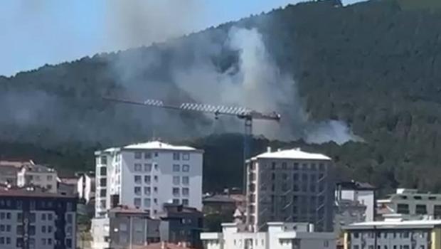 İstanbul'da Aydos Ormanı'nda çıkan yangın söndürüldü