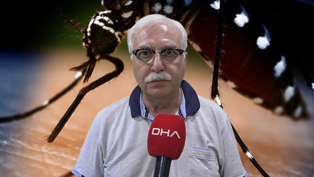 Sivrisineklerden bulaşıyor! Uzman isimden 'Chikungunya' virüsü açıklaması: Yakın bir tehdit söz konusu değil
