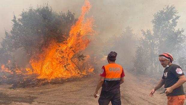 Son dakika... Orman yangınlarıyla mücadele sürüyor | Eskişehir, Sakarya, Bilecik ve Karabük'te son durum