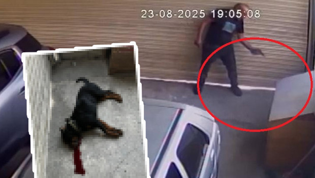 Ankara'da vahşet! Komşu esnafın köpeğini tabancayla vurarak öldürdü