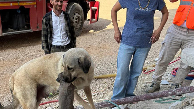 Antakya’da yürekleri ısıtan anlar: Bir an olsun başından ayrılmadı