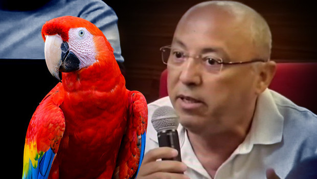 Papağan kararına tepki gösterdiler: 6 milyon avroya kadar zararımız var