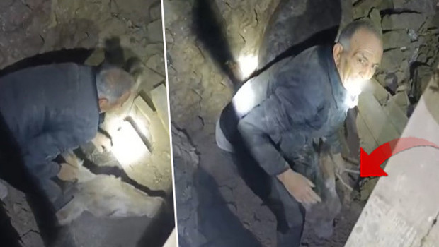 Balıkesir'deki depremde bir ahır çöktü! Enkaz altında kalan eşek böyle kurtuldu | 'Ahırın yıkıldığını görünce içim yandı'