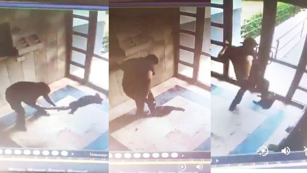 Cezve'yi işkence ederek katletmişti! Caninin aldığı ceza belli oldu!