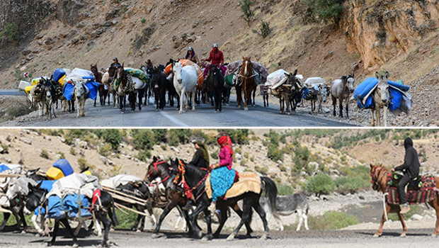 Göçerlerin zorlu yolculuğu başladı! Tam bir ay sürüyor