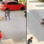 Antalya’da dehşet... Yanına kimseyi yaklaştırmadı