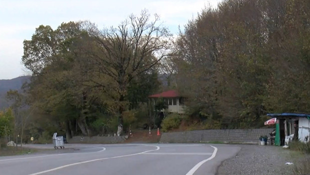 İstanbul Şile'de 21 mahalleye 'şap' karantinası