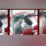 Sokak ortasında iğrenç saldırı: Güpegündüz kıyafetini çıkartmaya çalıştı