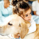 AYM gerekçesi: Takdir Meclis’in