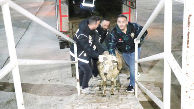 Bu da zehir tacirlerinin ‘Ar-Ge’si