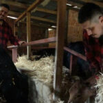 Eşiyle karar verdi köyüne geri geldi: Herkes çok şaşırdı! 'Orada robot olacağıma memleketimde çoban olurum'