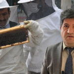 İyi bal nasıl anlaşılır? Uzman isim açıkladı... Sanılanın aksine bu şekilde olması gerekiyor