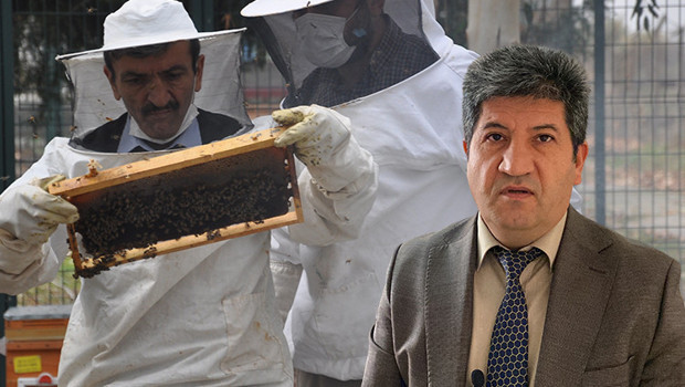 İyi bal nasıl anlaşılır? Uzman isim açıkladı... Sanılanın aksine bu şekilde olması gerekiyor