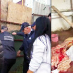 Kesip piyasaya sürdüler