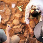 ‘Sefertepe’de kafatası gizemi