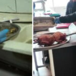 Tavuk dönercide iğrenç görüntüler! Zabıta dayanamadı: Leş gibi kokuyor