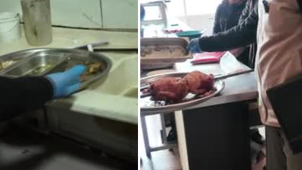 Tavuk dönercide iğrenç görüntüler! Zabıta dayanamadı: Leş gibi kokuyor