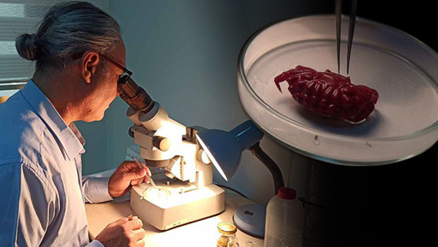 Türkiye kıyılarında ilk kez görüldü! '2 santimetre büyüklüğünde popülasyonu artacak'