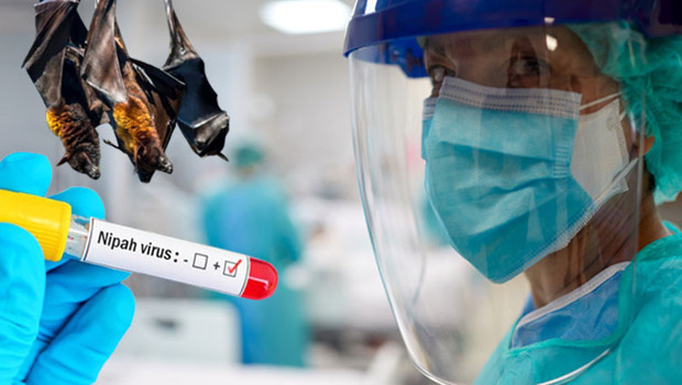 Dünya Sağlık Örgütü alarm verdi! Hindistan’da ortaya çıkan Nipah virüsü yeni bir pandeminin mi habercisi? Türkiye için tehdit var mı?