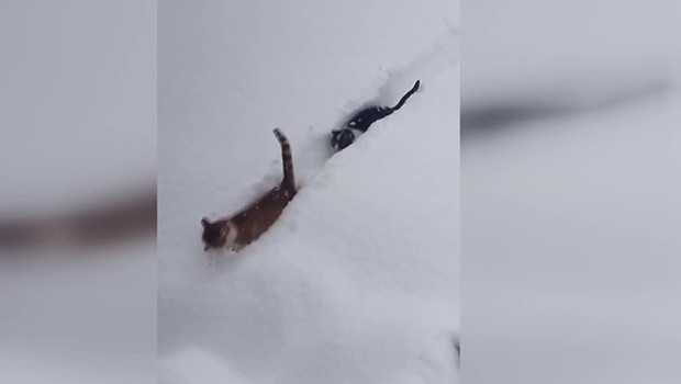 Köy imamının çektiği video sosyal medyada büyük beğeni topladı