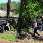 1.5 aydır aynı bölgeye gidip geliyorlar: 100 bin lira ödül verecekler! 'Bir an önce ona kavuşmak istiyoruz'