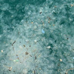 İstanbul'da yağışın ardından ortaya çıktı: Beşiktaş Sahili'nde arttı